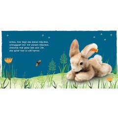 Dorling Kindersley Verlag Mein liebstes Kuscheltierbuch: Schlaf gut! Моя любимая книга о чучелах животных: Спи спокойно!