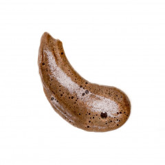 Coco  Eve Sunny Honey Bali Bronzing Foam (Medium)  Sunny Honey Bali Бронзирующая Пенка (Средняя)