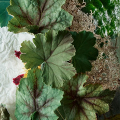 Molton Brown Geranium Nefertum Body Lotion Лосьон для тела Geranium Nefertum