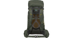 Osprey Osprey Kestrel 38, Rucksack grun, 38 Liter, Grosse L/XL  grun Osprey Kestrel 38, рюкзак зеленый, 38 литров, размер L/XL