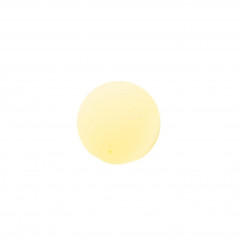 Charlemagne Premium Bartol Lombardian Revenge Бартол ломбардская месть