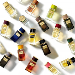 Dolce&amp;Gabbana  Velvet Collection Amber Skin  Бархатная коллекция Amber Skin